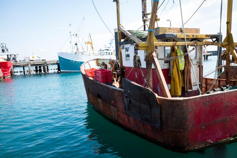 boat fish red