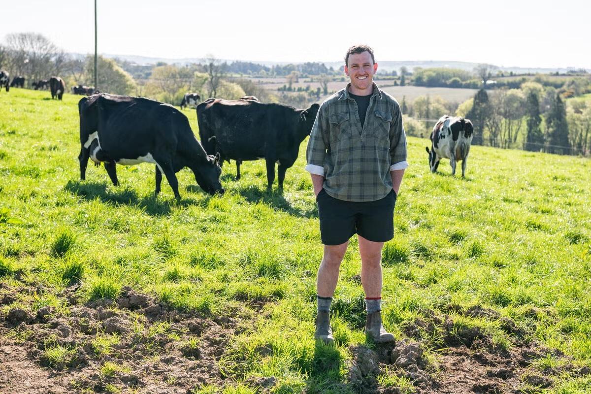 Person standing in front of cows in a field