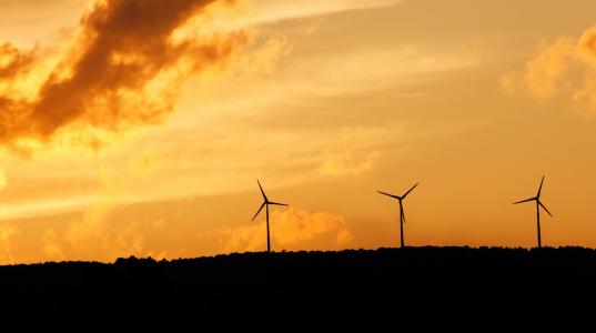 Wind farm sunset