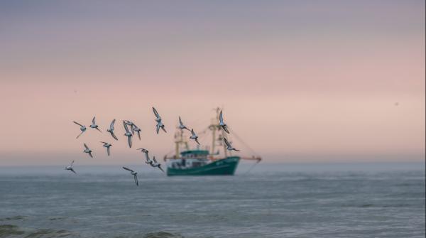 Fishing boat