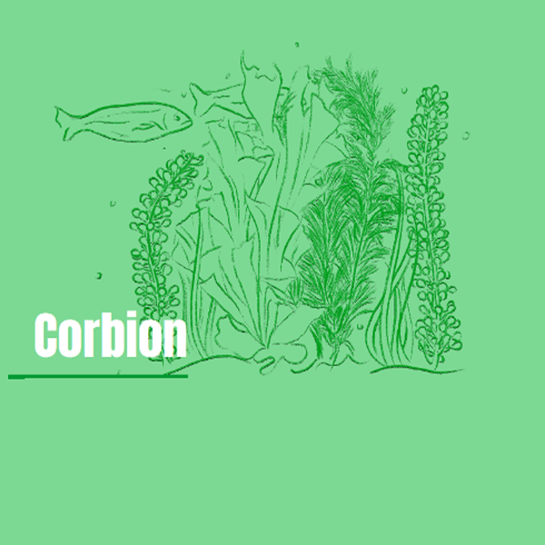 Corbion