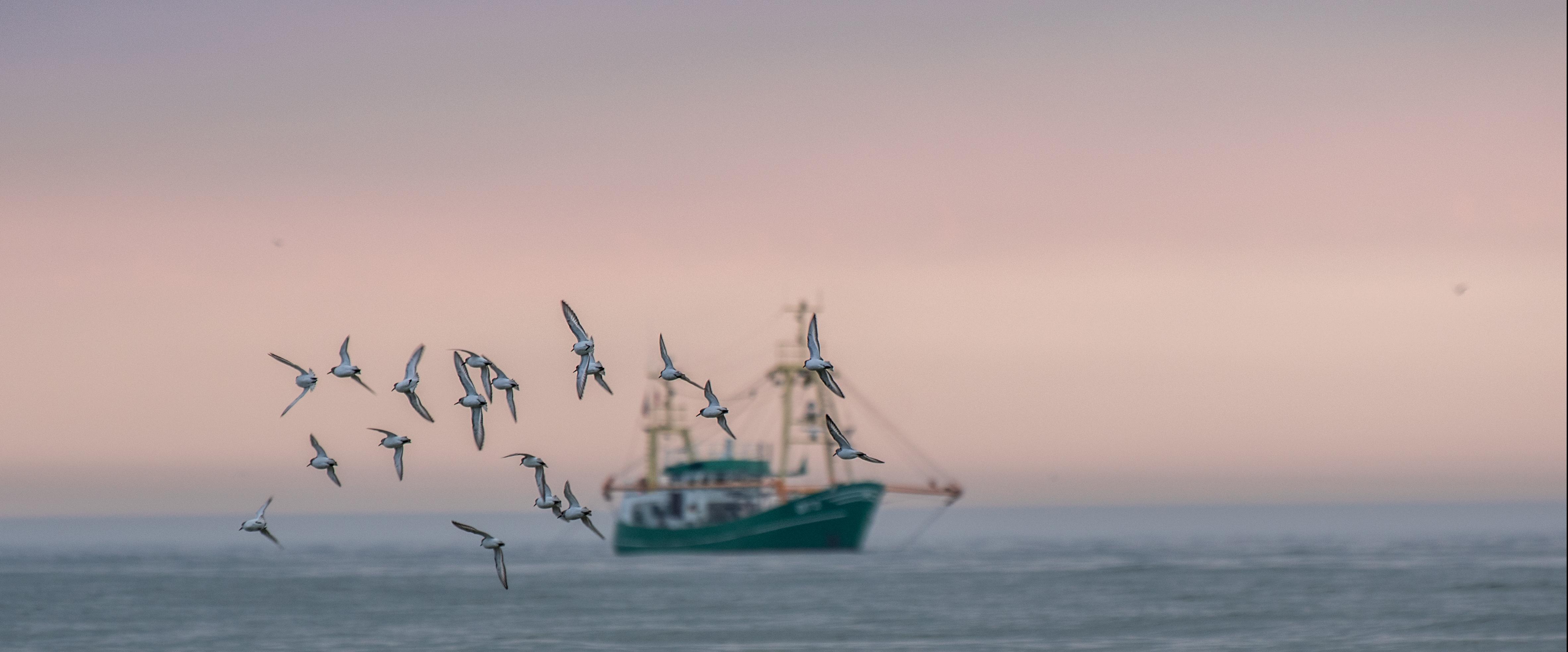 Fishing boat