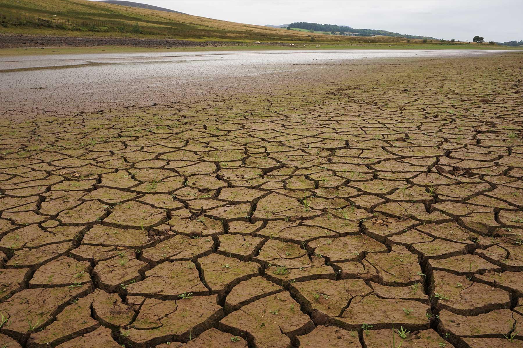 Pentland Hills drought