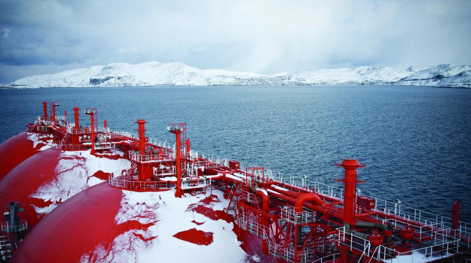 iceberg crop