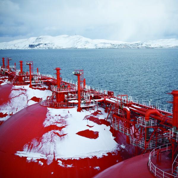 iceberg crop