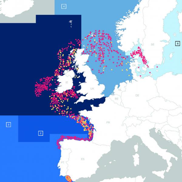 Hake distribution 