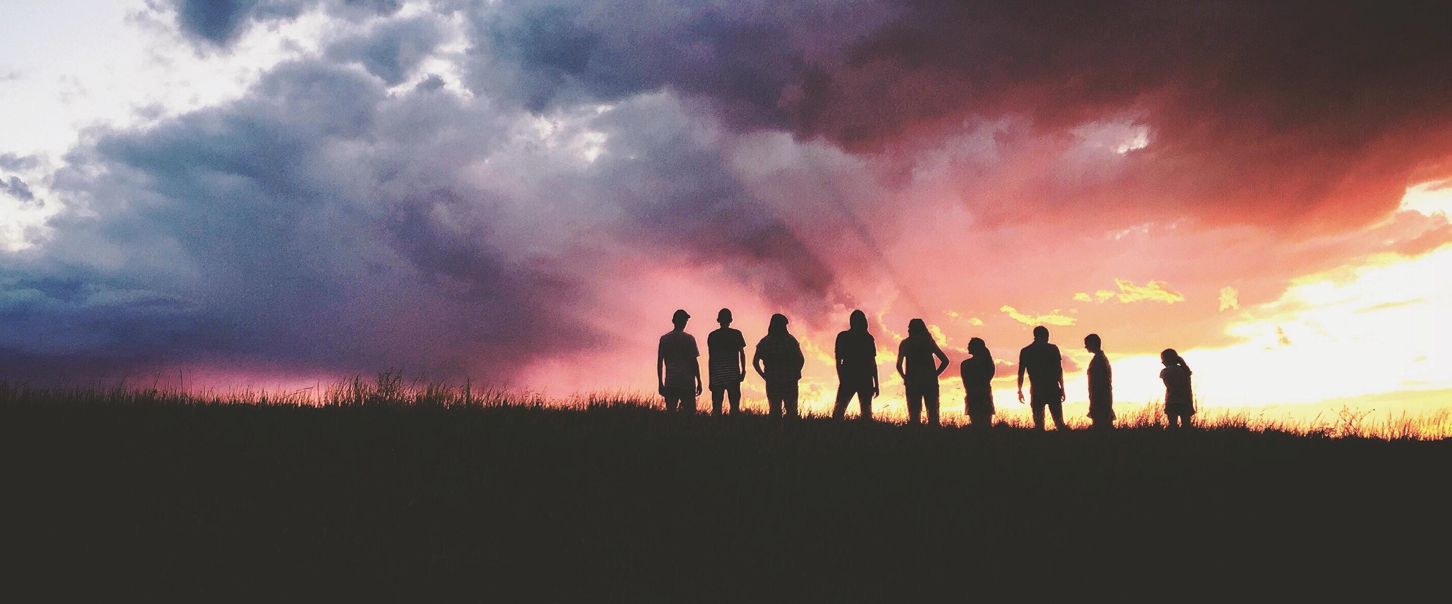 Meet the team